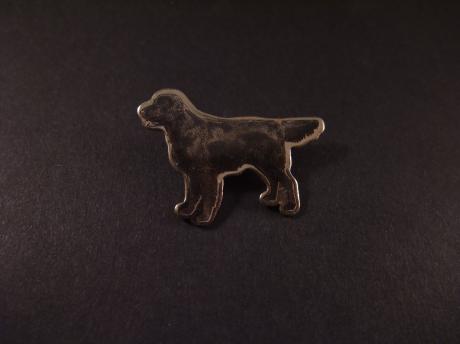 Flatcoated Retriever, jachthond
